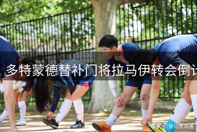 多特蒙德替补门将拉马伊转会倒计时 700万欧标价引关注